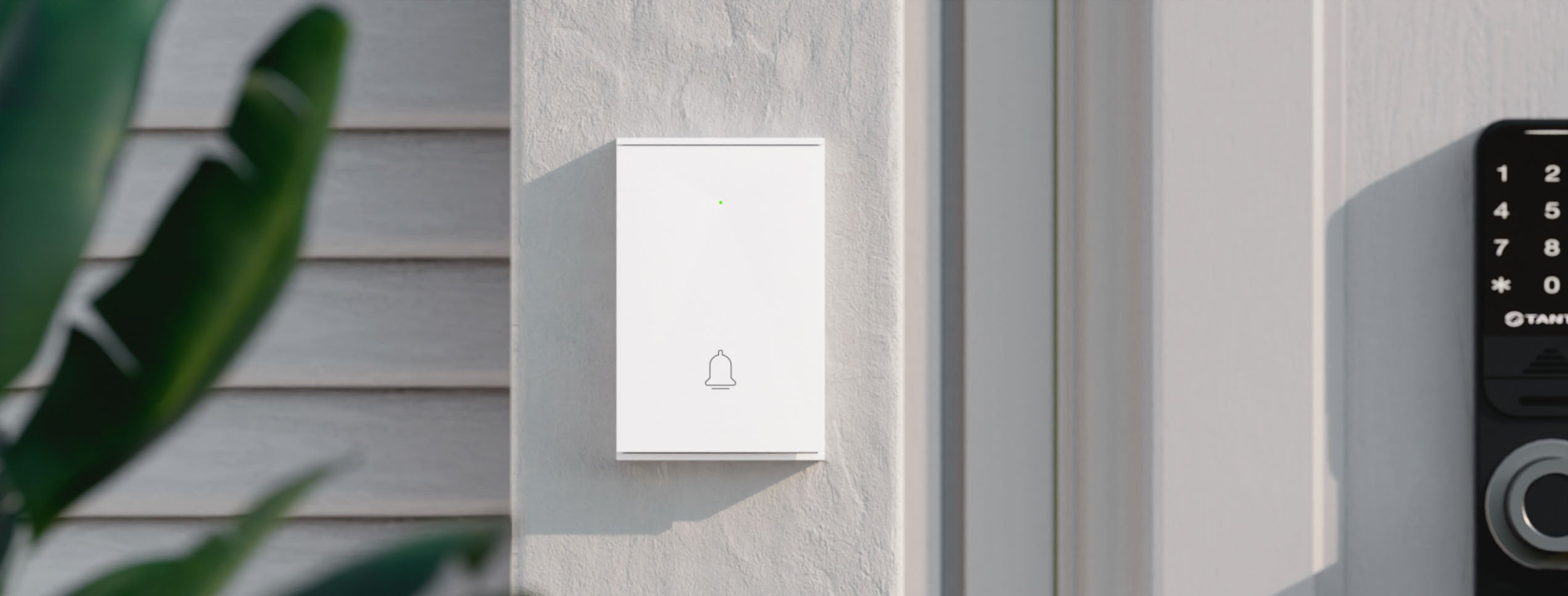 How Much Does A Ring Doorbell Cost In 2024? – Forbes Home