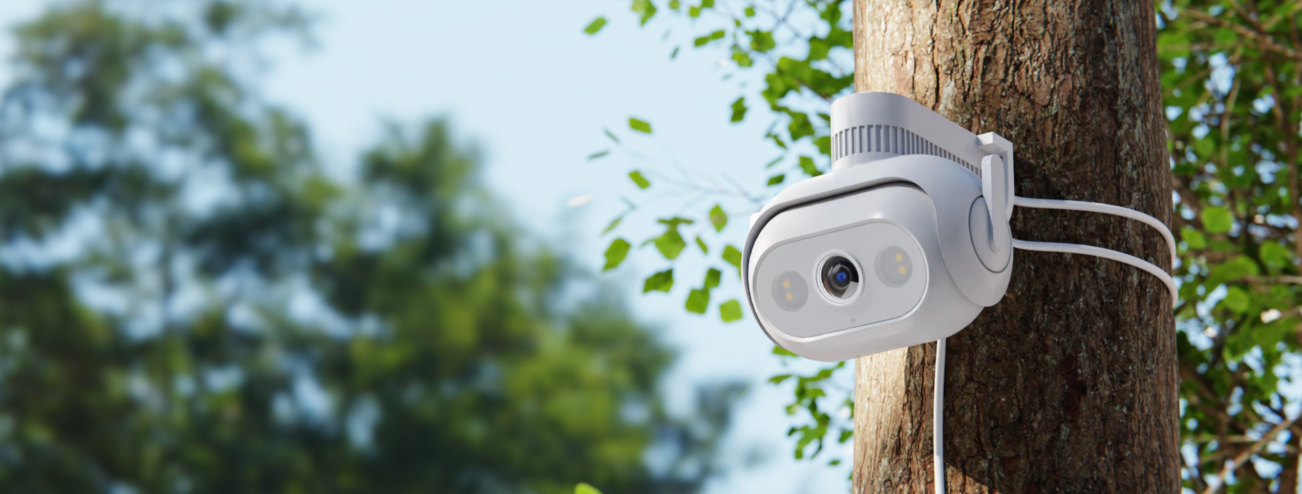 imilab-ec5-white-camera-mounted-on-tree-log-with-blue-sky-in-the-background