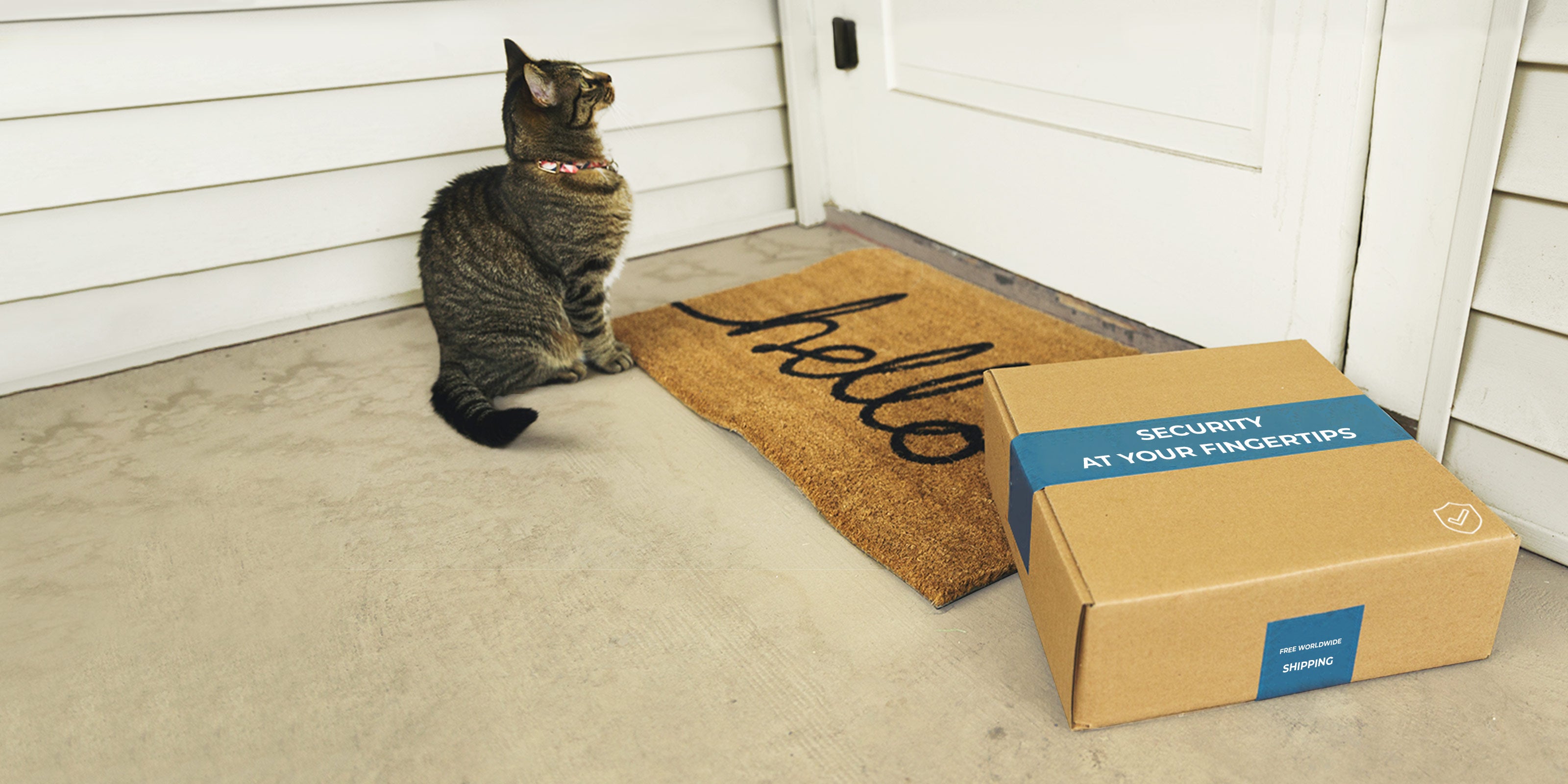 Cat standing by home doorstep along a delivered parcel with the tag "Security at your fingerprints"